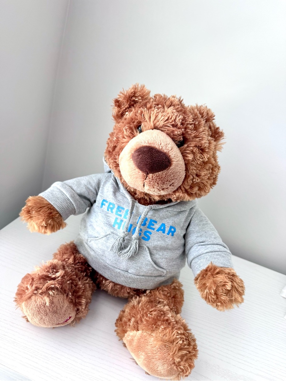 Bloomingdale’s GUND Plush Brown Teddy Bear in Grey Hoodie - Free Bear Hugs